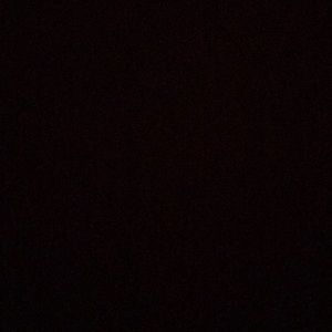 Meet your Posher, Ray